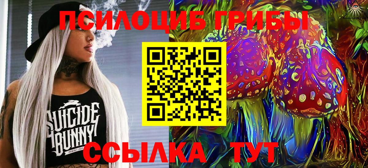 Псилоцибиновые грибы MAGIC MUSHROOMS  Вход с VPN  Джанкой  Псилоцибиновые грибы ЛСД 